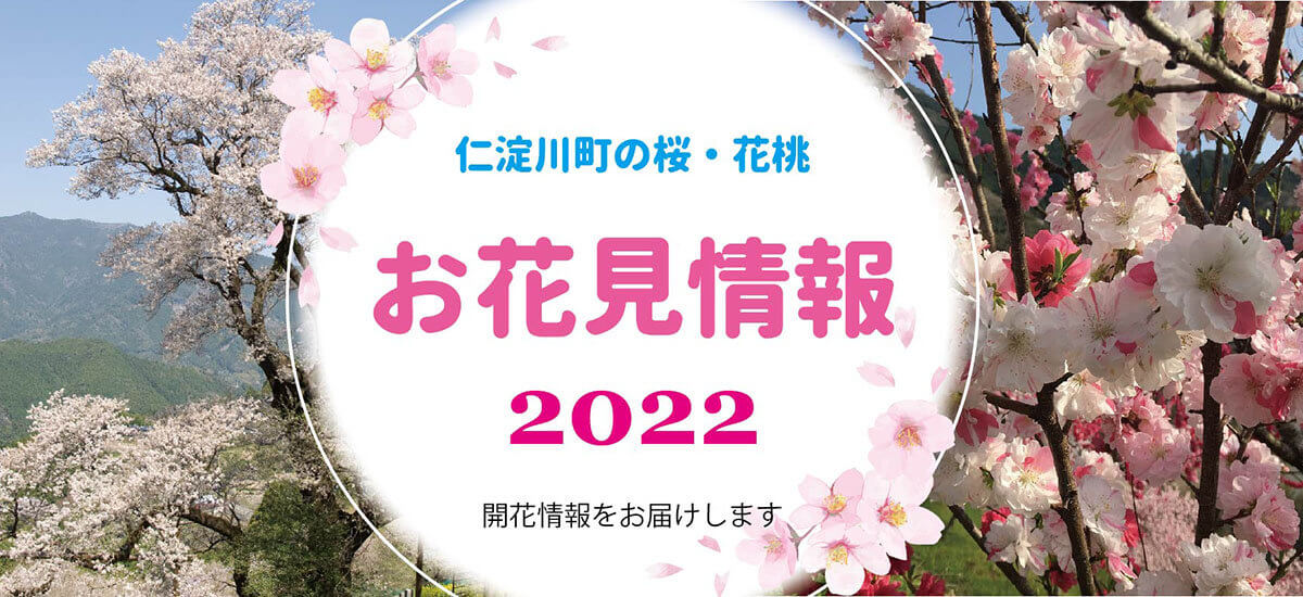 仁淀川町の桜 花桃 お花見情報 によどがわ Tv 高知県 仁淀川町観光ポータルサイト 仁淀川町観光ポータルサイト